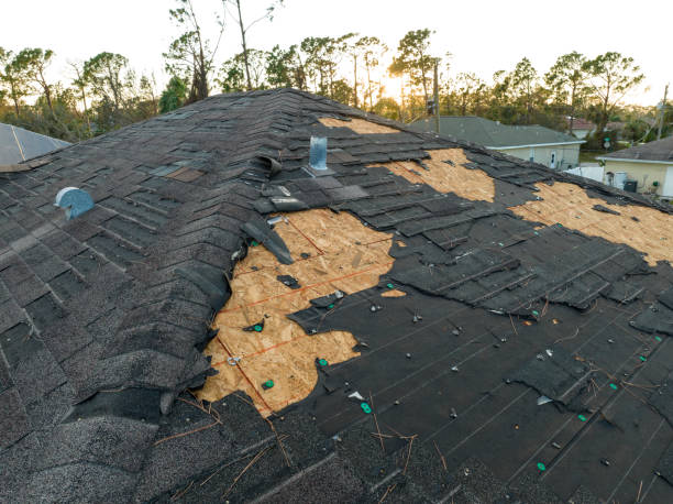 Best Asphalt Shingles Roofing  in Mentone, CA